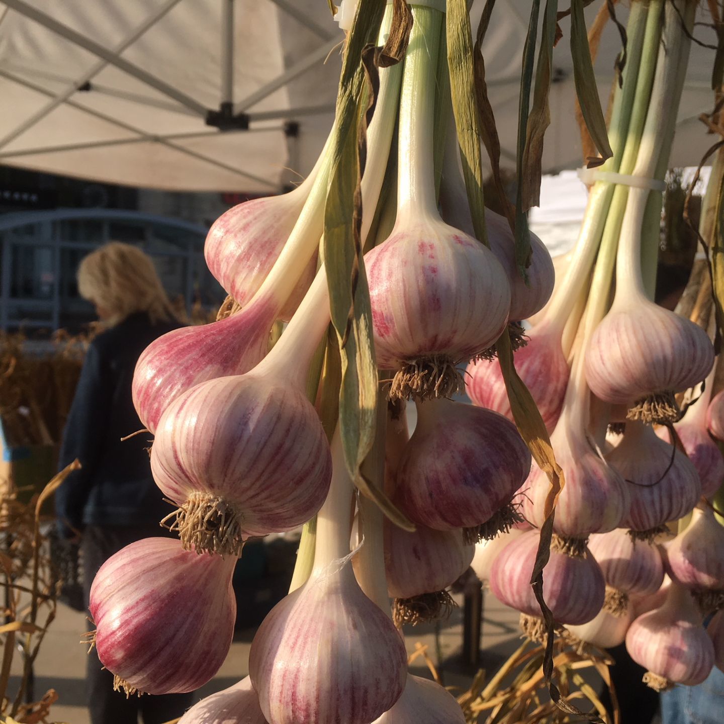 Farmers market survey